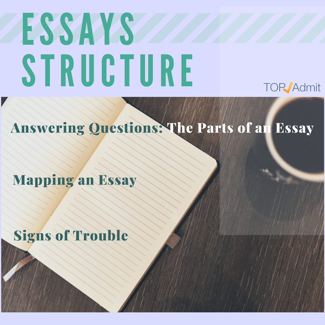 Edit essays online